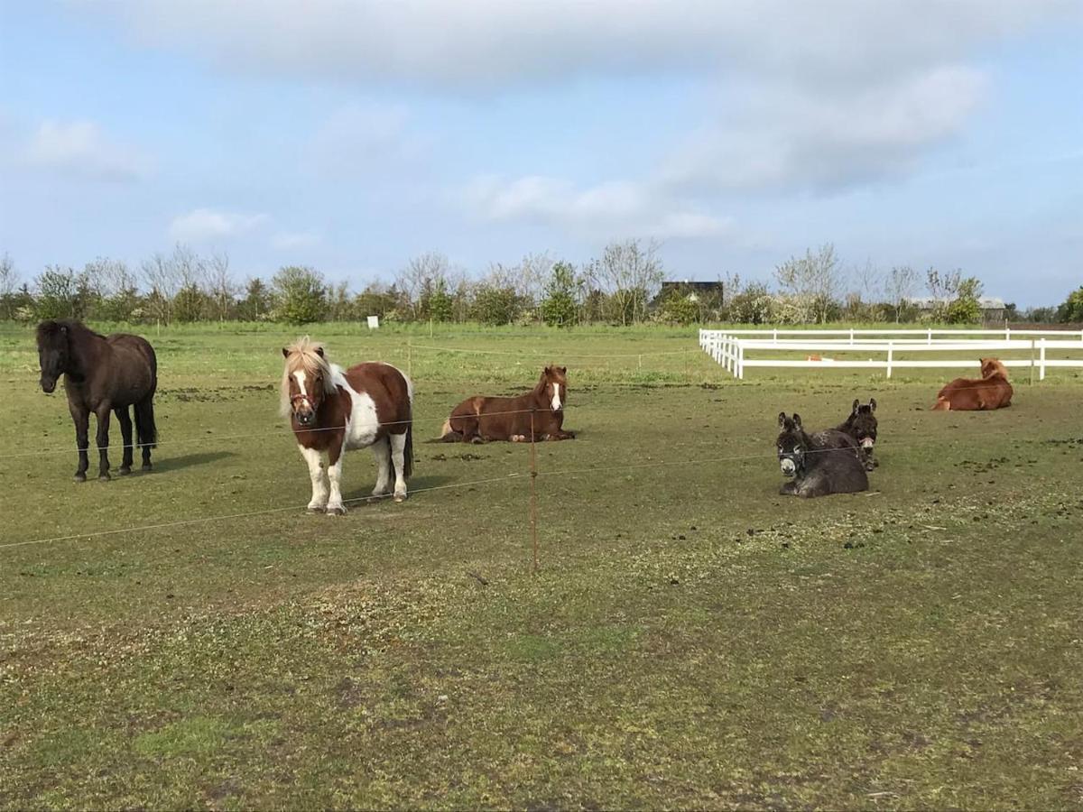 Bb-Vadehavet Ferielejlighed Til 6 Personer Ved Nationalpark Vadehavet Ribe Exterior foto