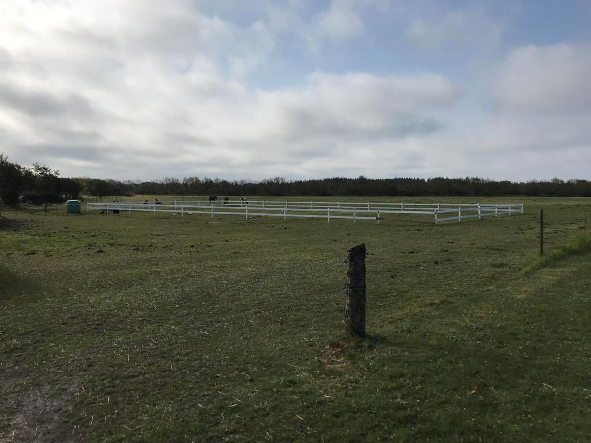Bb-Vadehavet Ferielejlighed Til 6 Personer Ved Nationalpark Vadehavet Ribe Exterior foto