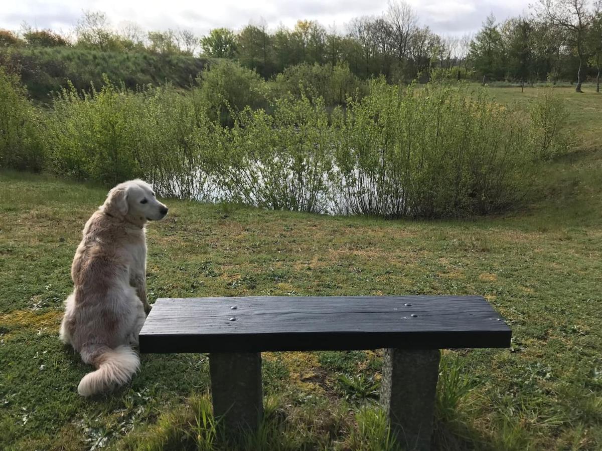 Bb-Vadehavet Ferielejlighed Til 6 Personer Ved Nationalpark Vadehavet Ribe Exterior foto